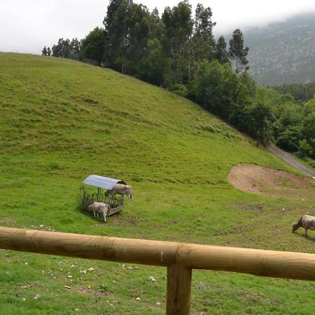 Ruiloba II Villa Ribadesella Bagian luar foto