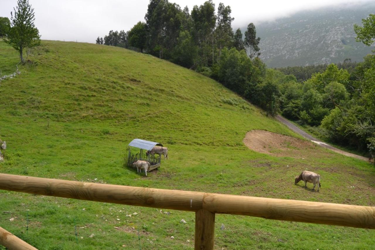 Ruiloba II Villa Ribadesella Bagian luar foto